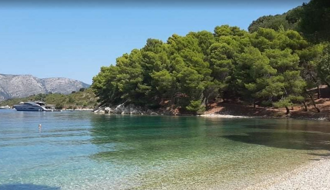 Trees near the sea, Skinos bay, Ionian Islands.