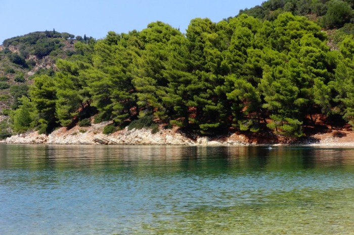 Trees near the sea, Skinos bay, Ionian Islands.